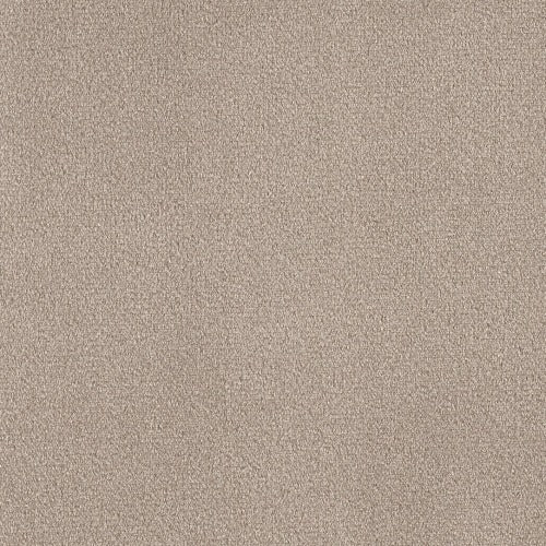 Dreamland Apollo Headboard - Velvet Fabric - Coffee colour sample - Beds4Us