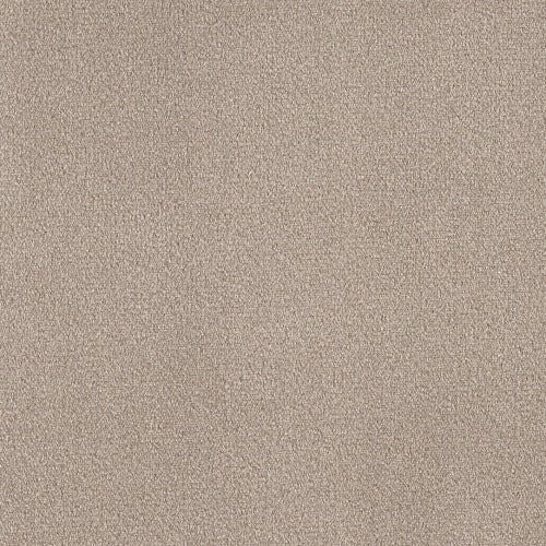 Dreamland Lotus Headboard - Velvet Fabric - Coffee colour sample - Beds4Us